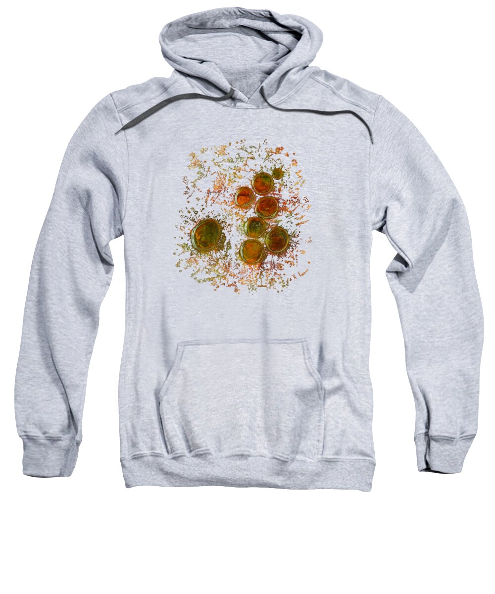 Colors Of Sweatshirt featuring the photograph Colors of Nature 10 by Sami Tiainen
