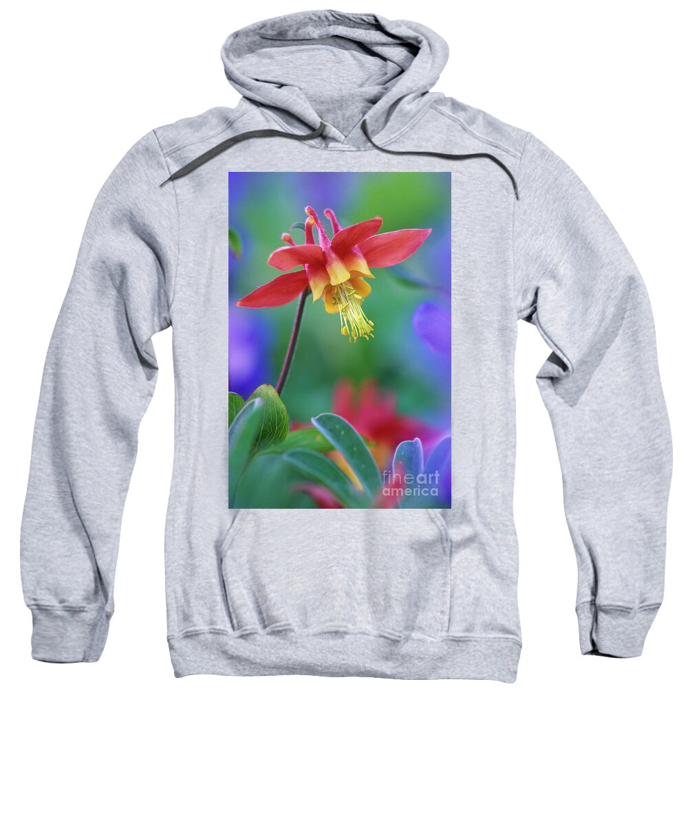 Columbine Sweatshirt featuring the photograph Columbine flower by Michael Wheatley