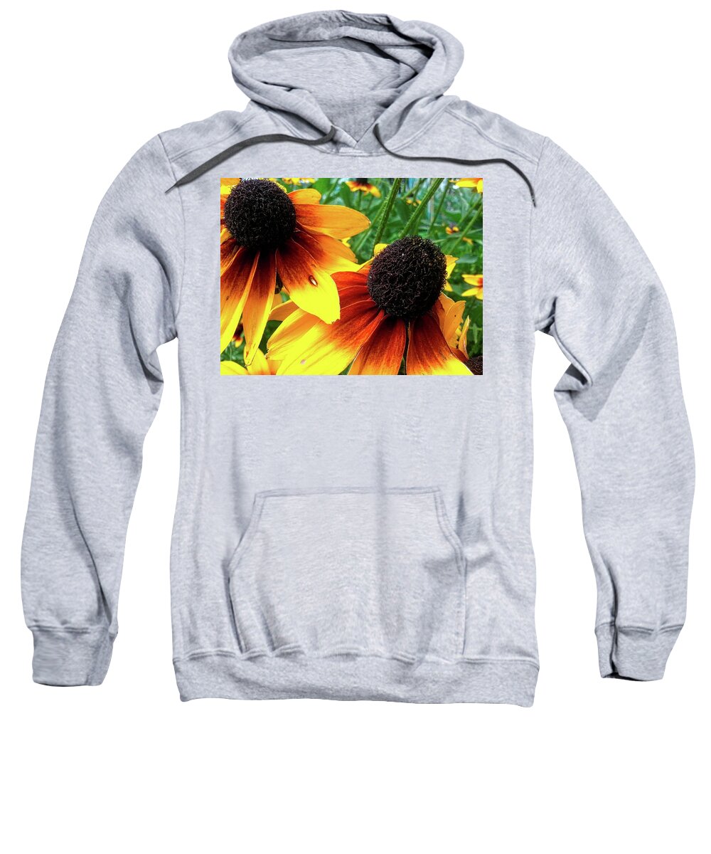 Flowers Sweatshirt featuring the photograph Coneflowers by Robert Knight