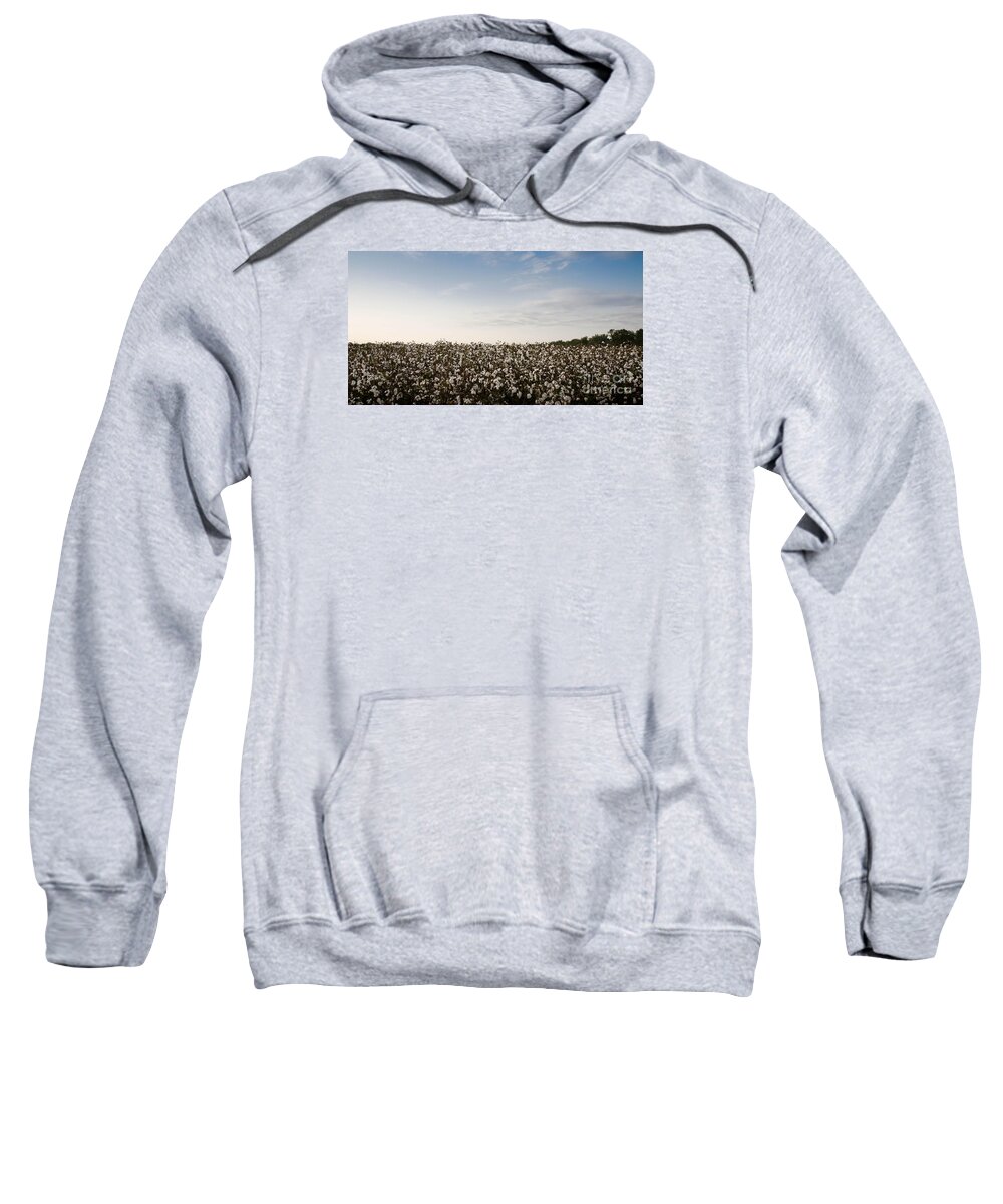 Fluffy Sweatshirt featuring the photograph Cotton Field 2 by Andrea Anderegg