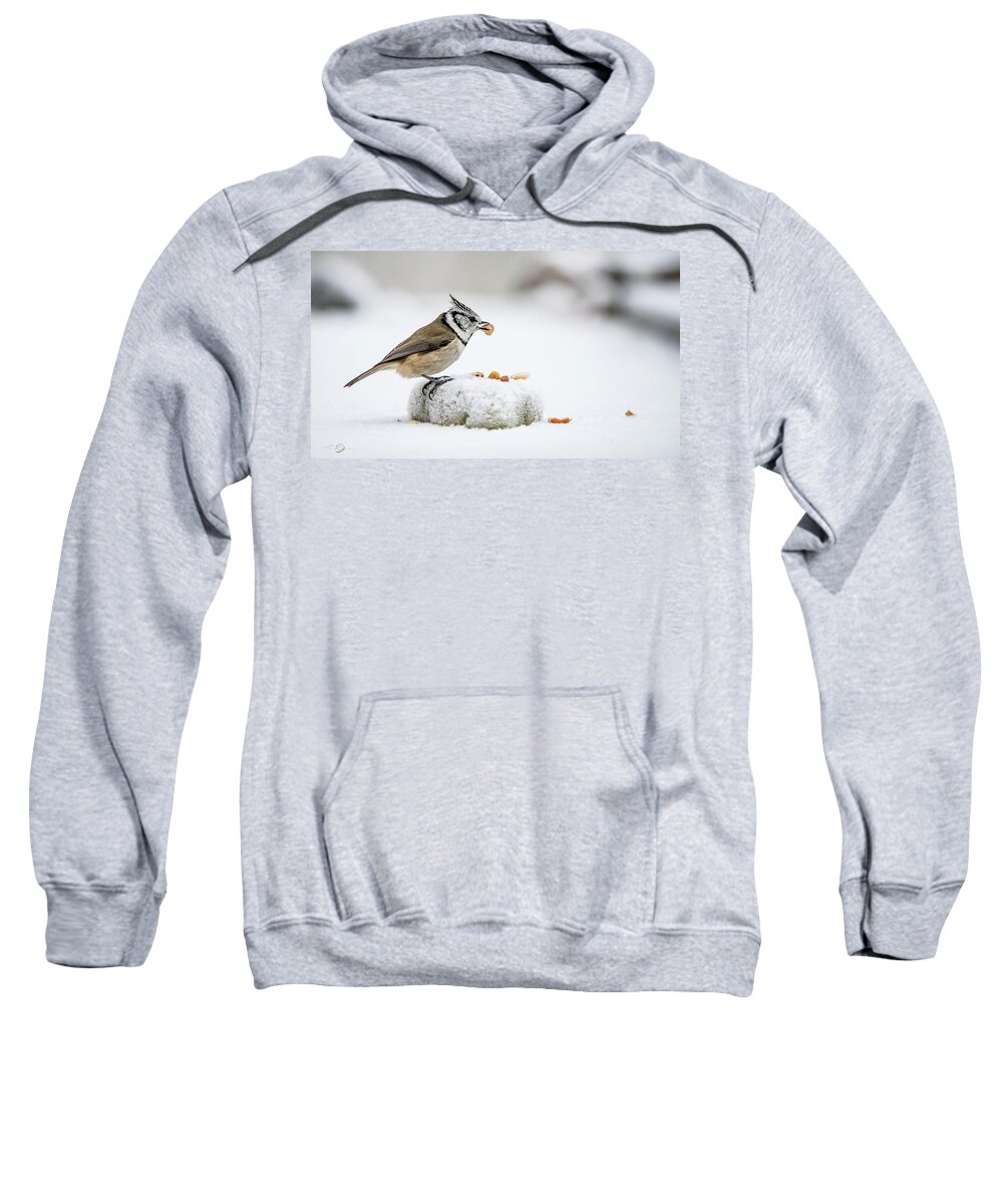 Crested Tit's Catch Sweatshirt featuring the photograph Crested Tit's catch a peanut by Torbjorn Swenelius