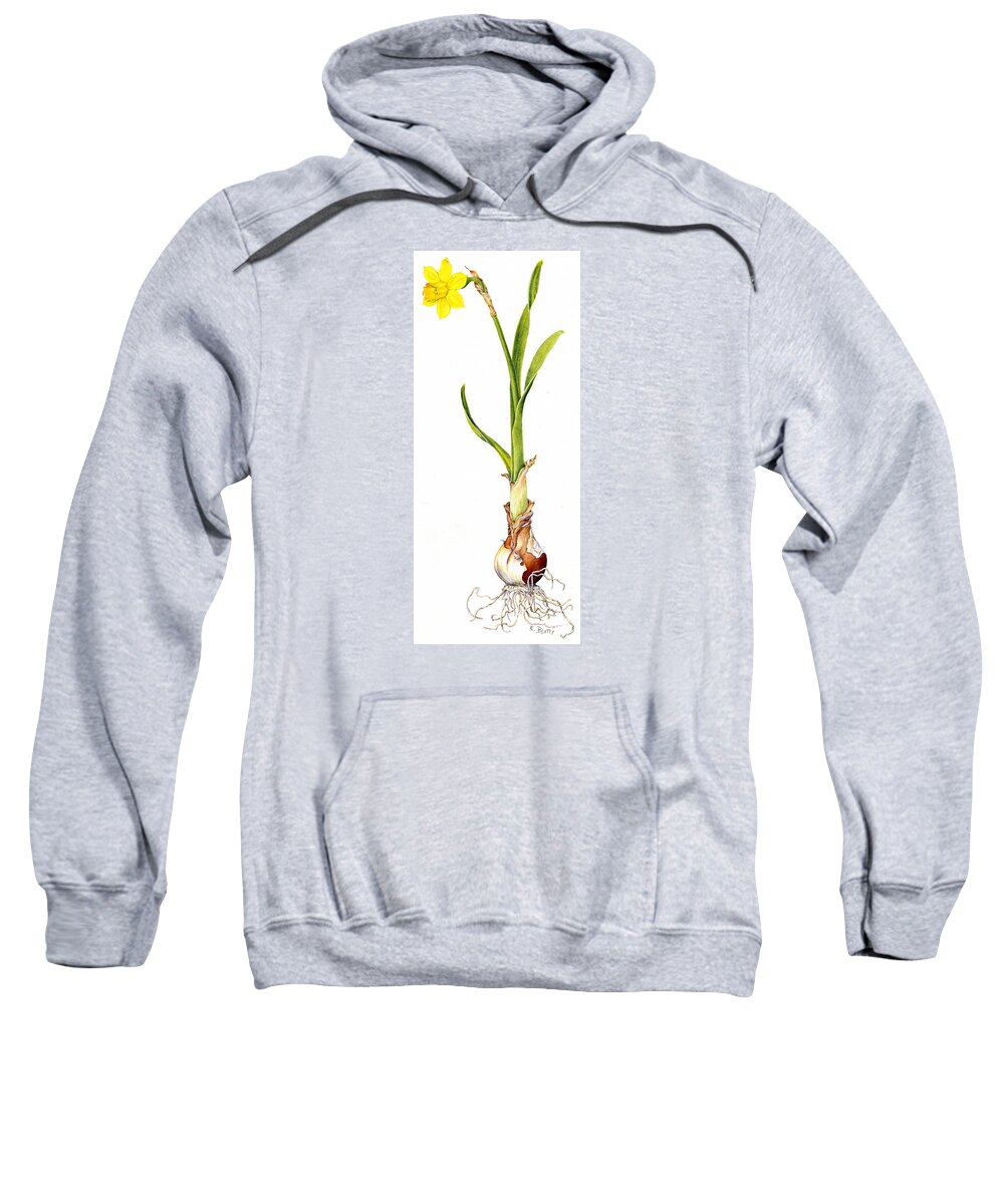 Daffodil Sweatshirt featuring the painting Daffodil and Bulb by Karla Beatty