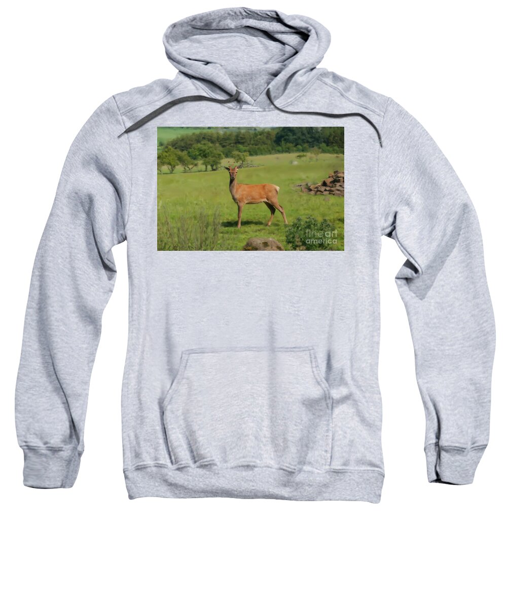 Red Deer Sweatshirt featuring the photograph Deer calf. by Elena Perelman
