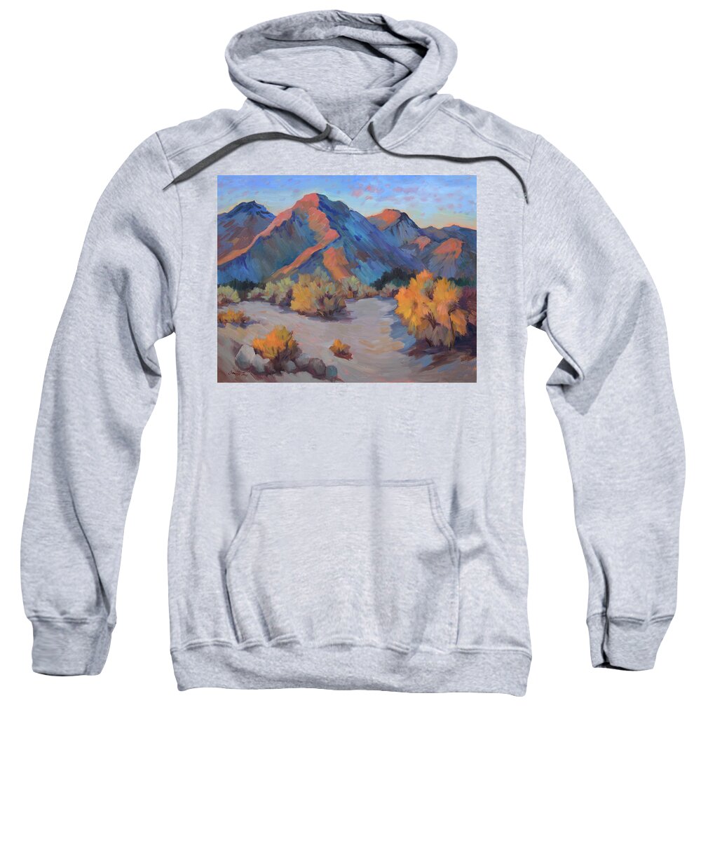 Light Sweatshirt featuring the painting Desert Light by Diane McClary