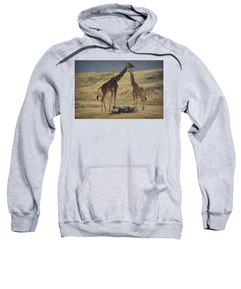 Desert Sweatshirt featuring the photograph Desert Palm Giraffe by Guy Hoffman
