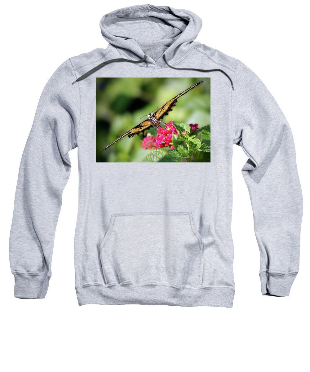 Butterfly Sweatshirt featuring the photograph Diagonal by Anna Rumiantseva
