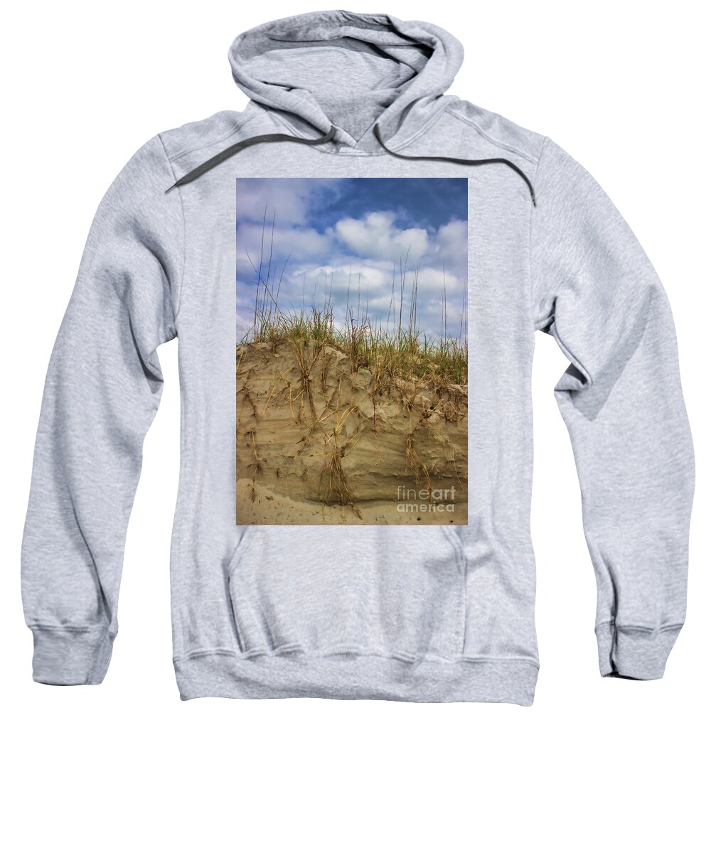 Sand Dunes Sweatshirt featuring the photograph Digging in Deep in Sand Dunes by Roberta Byram