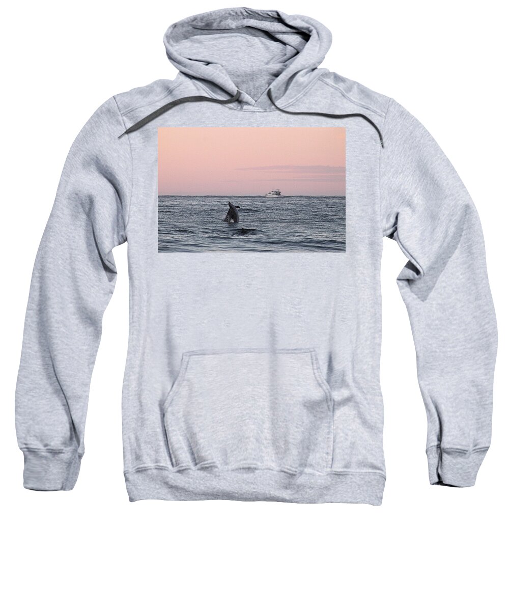 Animals Sweatshirt featuring the photograph Dolphins at Play by Robert Banach