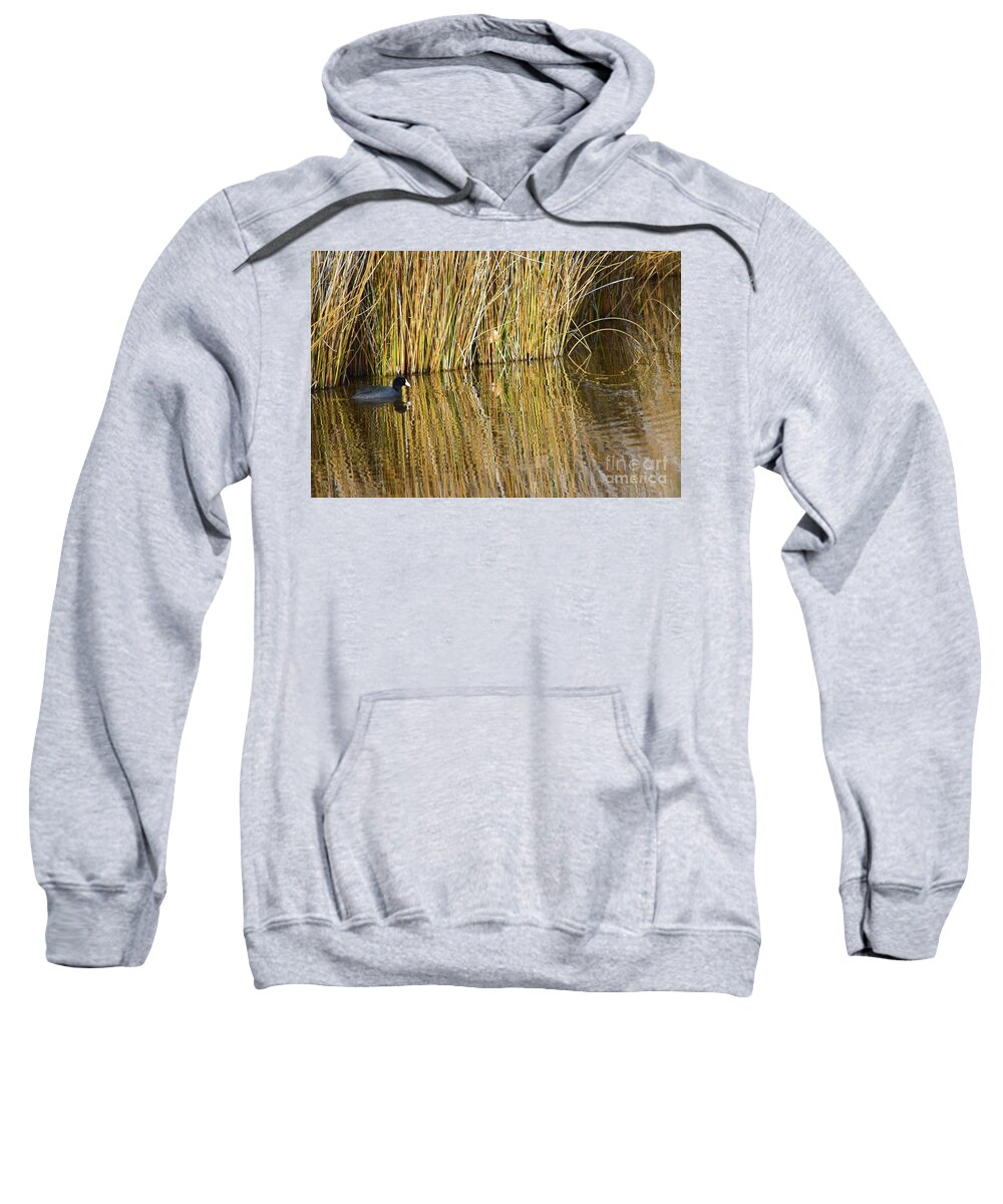 Duck Sweatshirt featuring the photograph Duck and Reeds by Jeff Hubbard