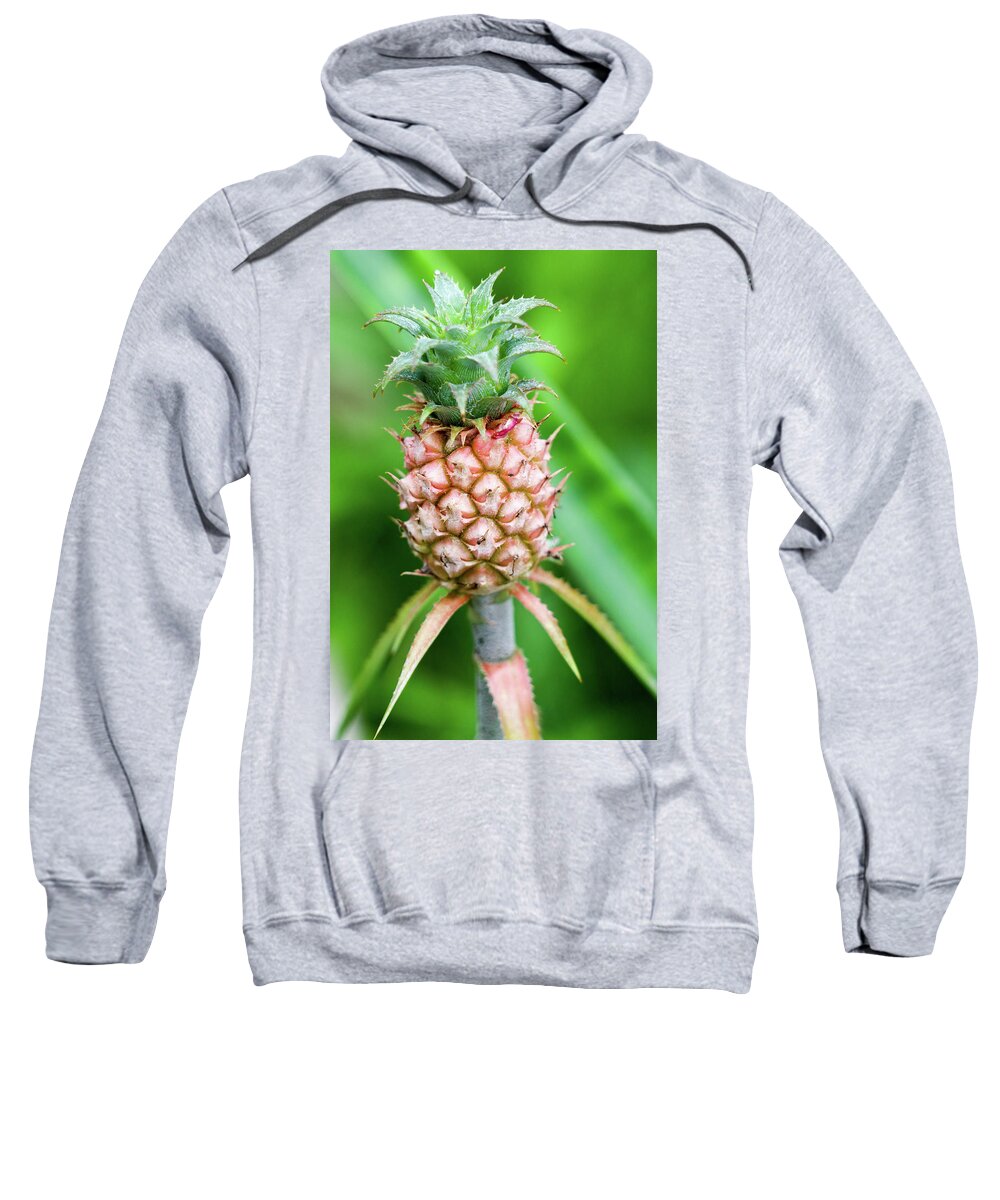 Pineapple Sweatshirt featuring the photograph Dwarf Pineapple II by Mary Anne Delgado