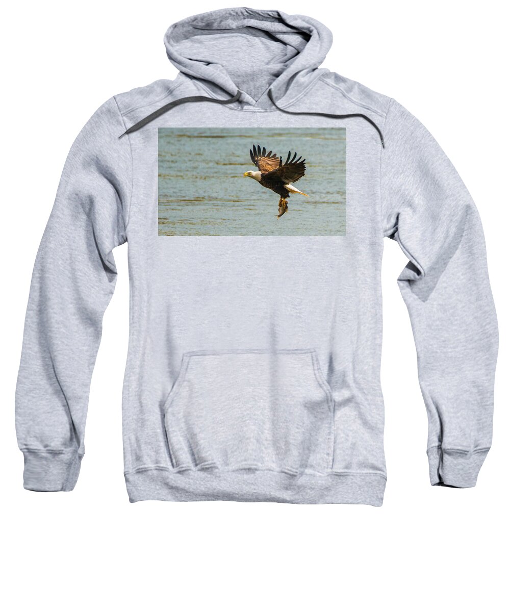 11 November 2016 Sweatshirt featuring the photograph Eagle Departing with Prize Close-Up by Jeff at JSJ Photography