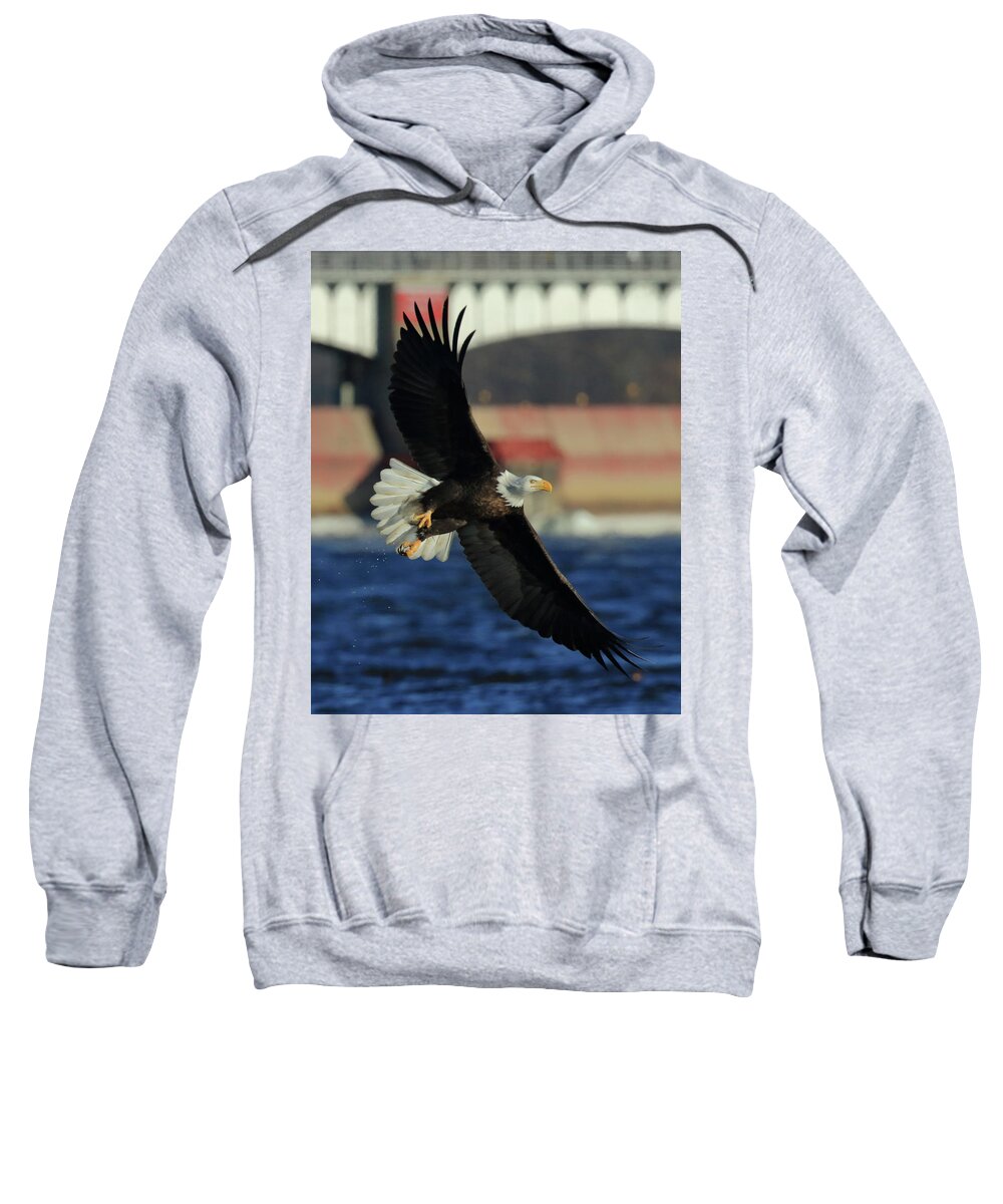 Eagle Sweatshirt featuring the photograph Eagle Flying by Coby Cooper