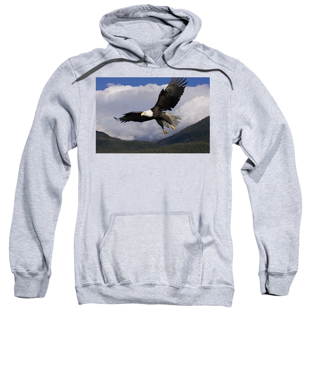 Afternoon Sweatshirt featuring the photograph Eagle Flying in Sunlight by John Hyde - Printscapes