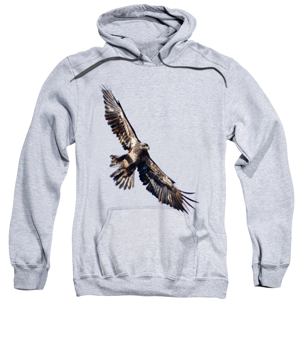 Eagle Sweatshirt featuring the photograph Eagle by Greg Norrell