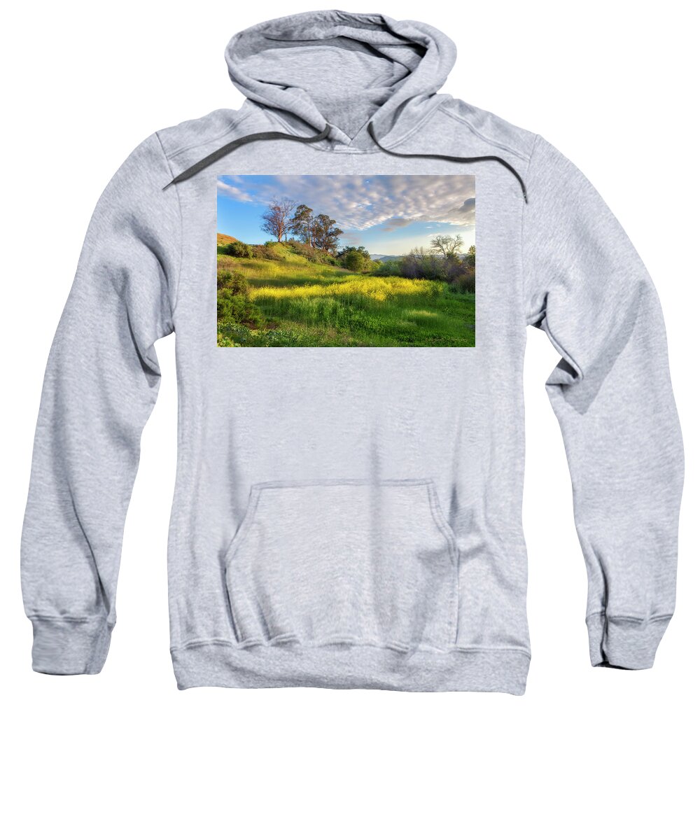 Landscape Sweatshirt featuring the photograph Eagle Grove at Lake Casitas in Ventura County, California by John A Rodriguez