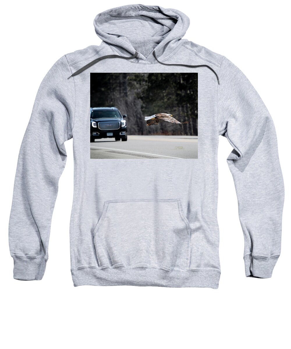 Bald Eagle Sweatshirt featuring the photograph Eagle over the highway by Michael Johnk