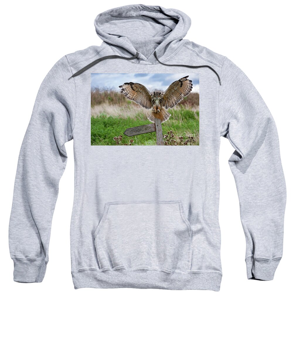Eurasian Eagle-owl Sweatshirt featuring the photograph Eagle Owl on Signpost by Arterra Picture Library