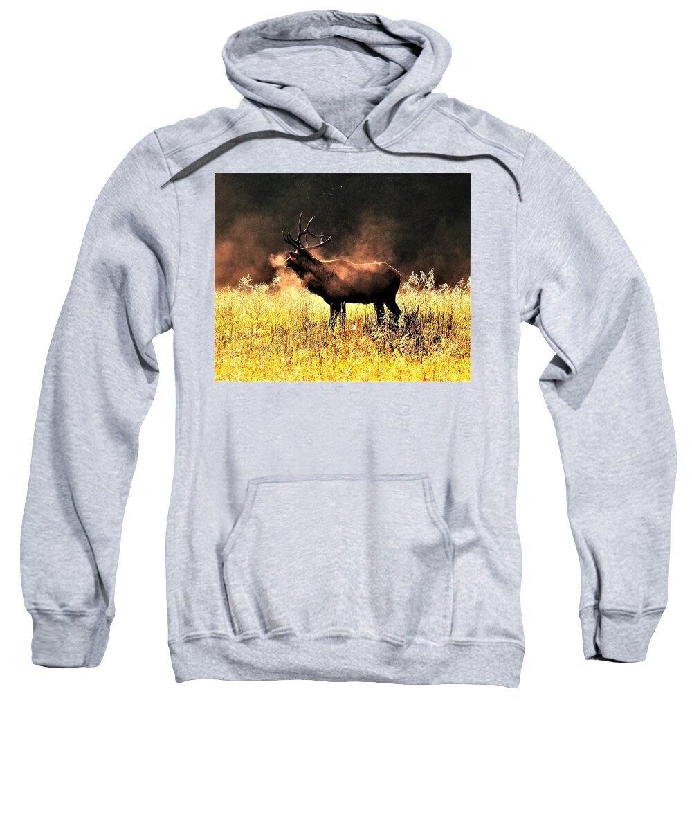 Bull Elk Sweatshirt featuring the photograph Early morning steam by Chuck Brown