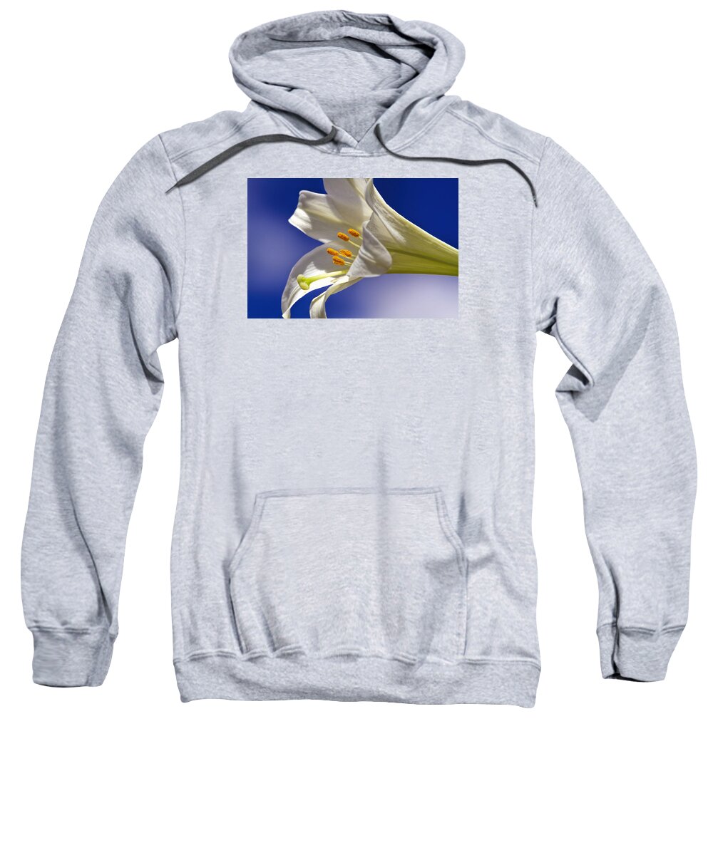Recent Sweatshirt featuring the photograph Easter Sunday morning lily by Geraldine Scull