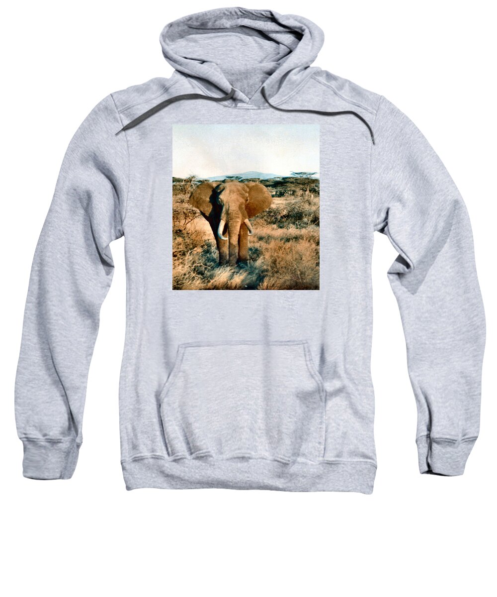 Elephant Sweatshirt featuring the photograph Elephant Eyes by Lin Grosvenor