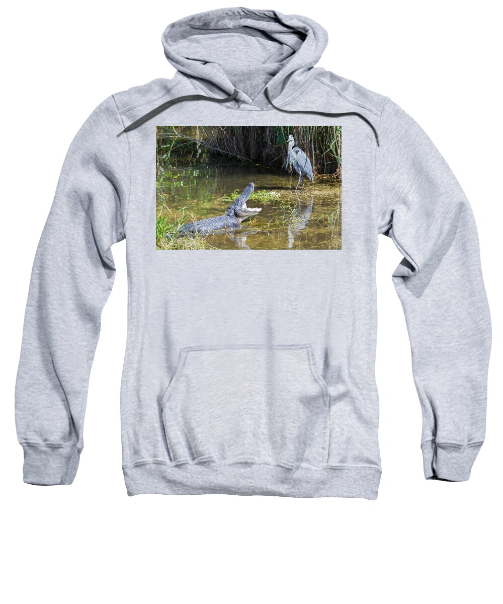 Everglades National Park Sweatshirt featuring the photograph Everglades 431 by Michael Fryd