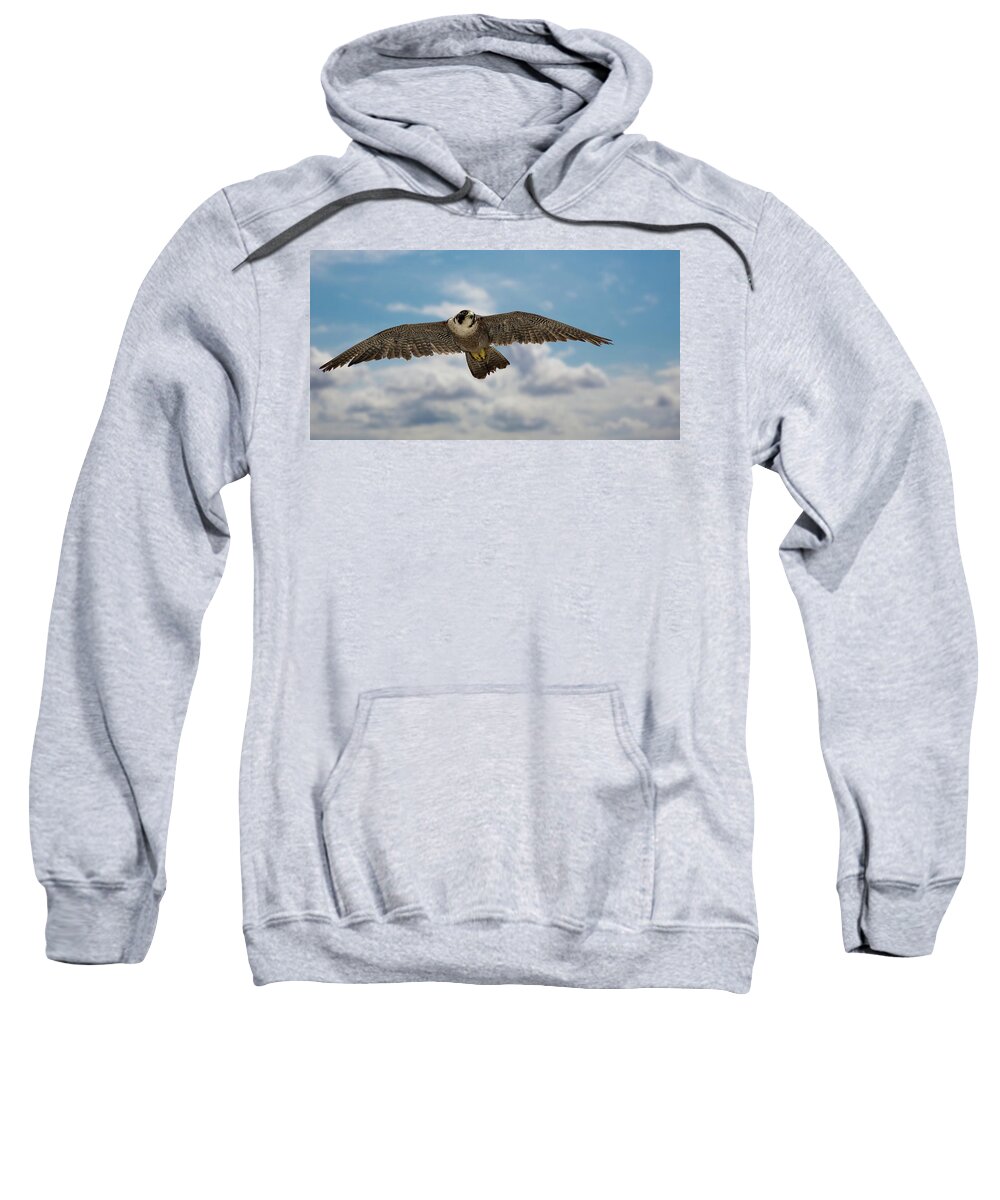 Bird Sweatshirt featuring the photograph Eyes in the sky by Bruce Bonnett