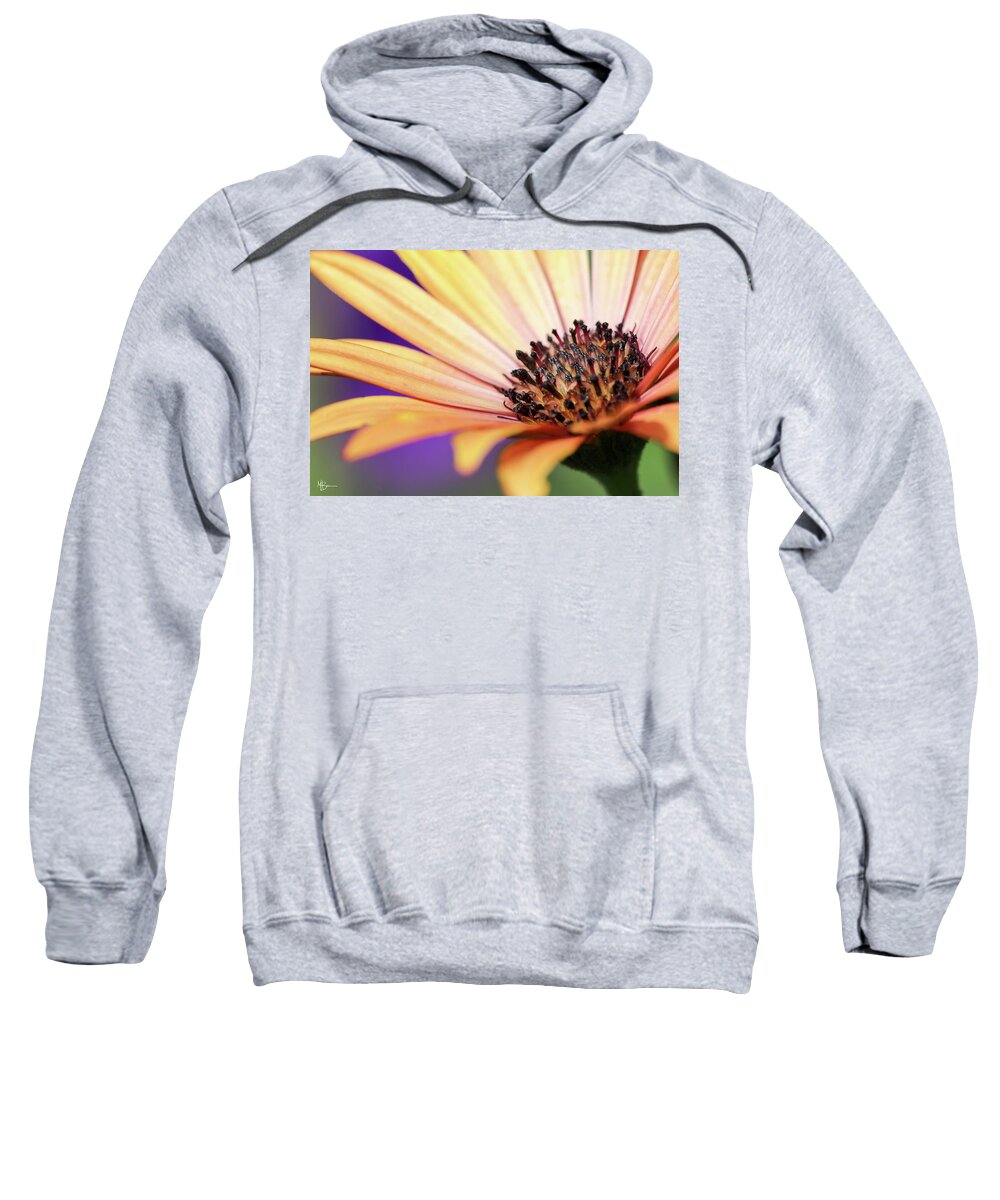 Fall Sweatshirt featuring the photograph Fall Bloom by Mary Anne Delgado