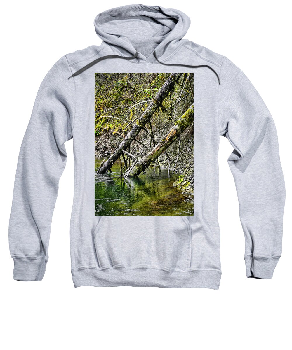 Riverscape Sweatshirt featuring the photograph Fallen Friends by Jason Brooks