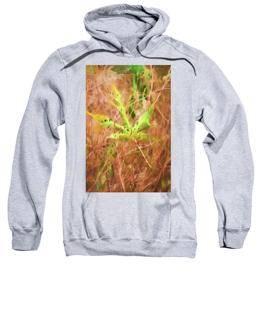 Painted Photo Sweatshirt featuring the painting Fallen Leaf by Bonnie Bruno