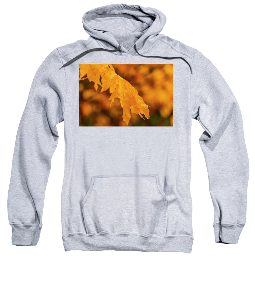 Falls Sweatshirt featuring the digital art Falls at Central Cascade by Michael Lee