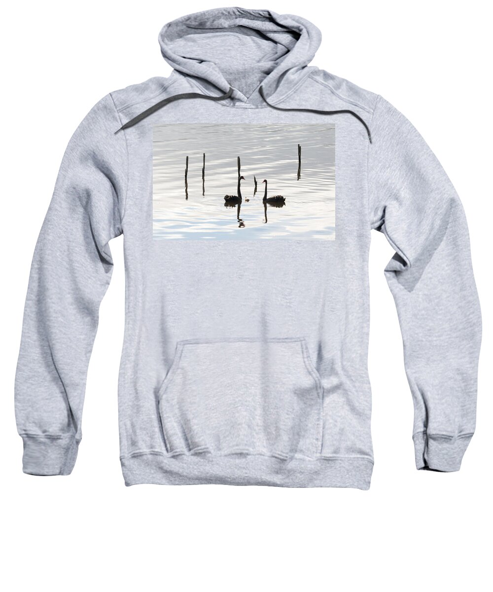 Family Sweatshirt featuring the photograph Family by Anthony Davey