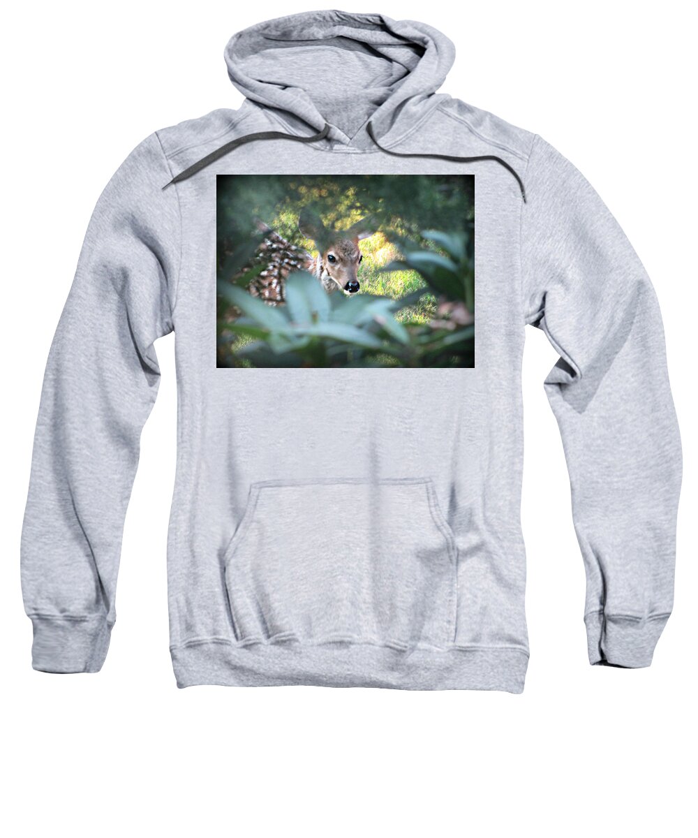 Nature Sweatshirt featuring the photograph Fawn Peeking Through Bushes by KATIE Vigil