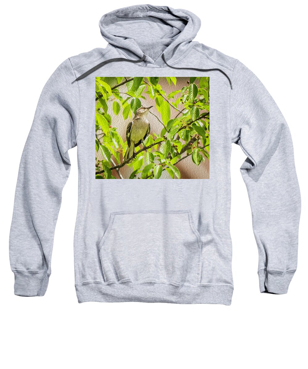 Northern Mockingbird Sweatshirt featuring the photograph Fearless Songbird by Cynthia Wolfe