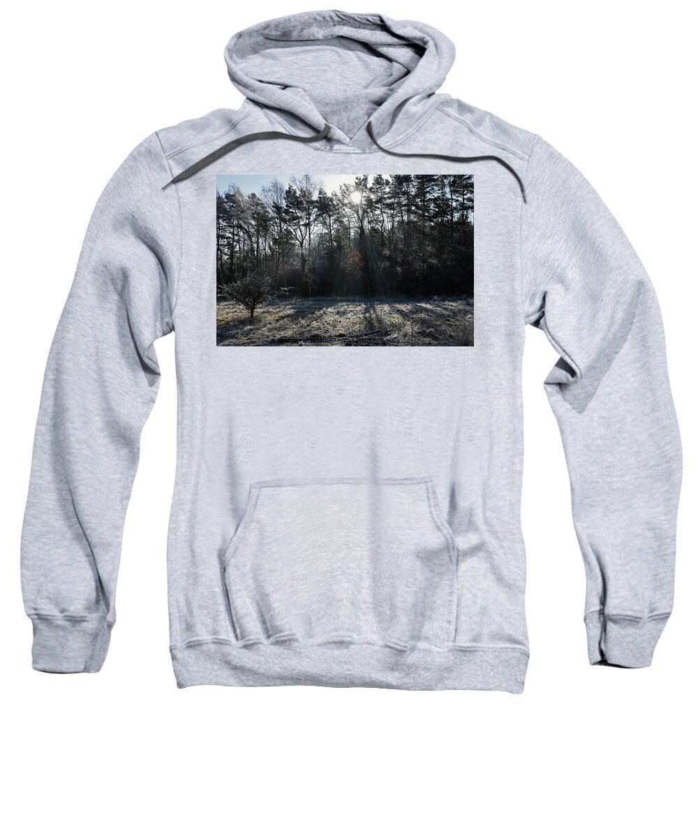 Sweden Sweatshirt featuring the pyrography February morning by Magnus Haellquist
