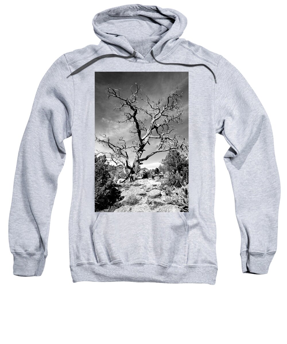 Black And White Sweatshirt featuring the photograph Feeling The Sky by Glenn McCarthy Art and Photography