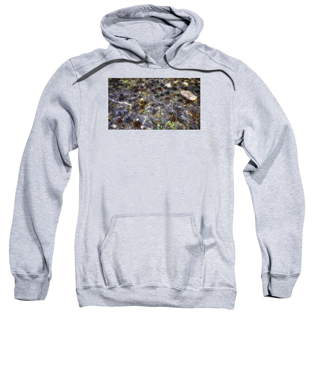 Pine;tree;autumn;fall;forest;nature Sweatshirt featuring the photograph Field of Cones by Michael Newberry
