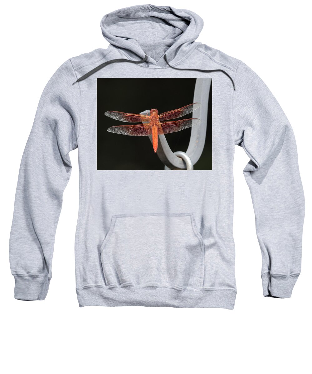 Flame Skimmer Sweatshirt featuring the photograph Flame Skimmer by John Moyer