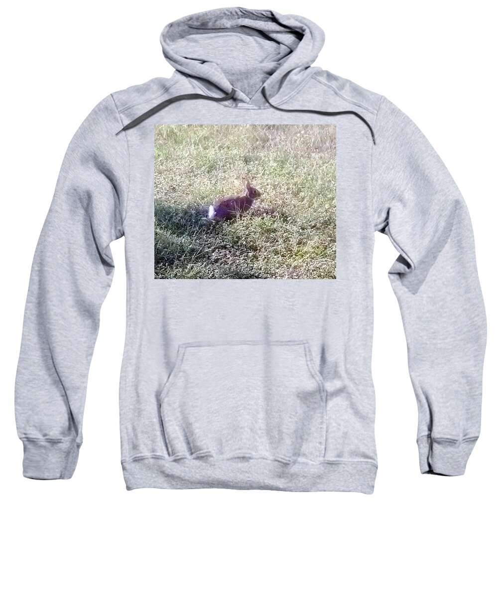 Rabbit. Bunny .wildlife Sanctuary Sweatshirt featuring the photograph Floppy Our Local Bunny by Suzanne Berthier