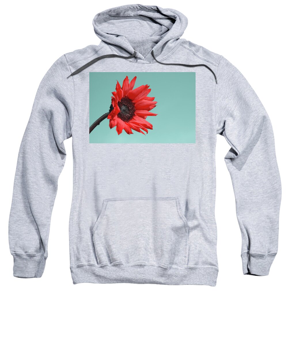 #faatoppicks Sweatshirt featuring the photograph Floral Energy by Aimelle Ml