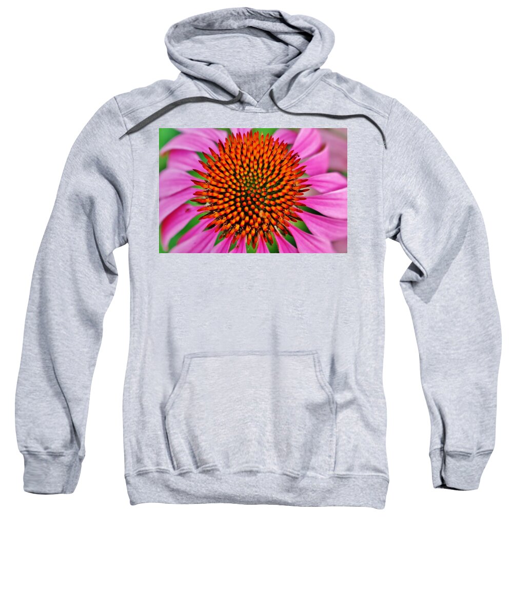 Hudson Valley Flowers Sweatshirt featuring the photograph Flower Art 1 by Thomas McGuire