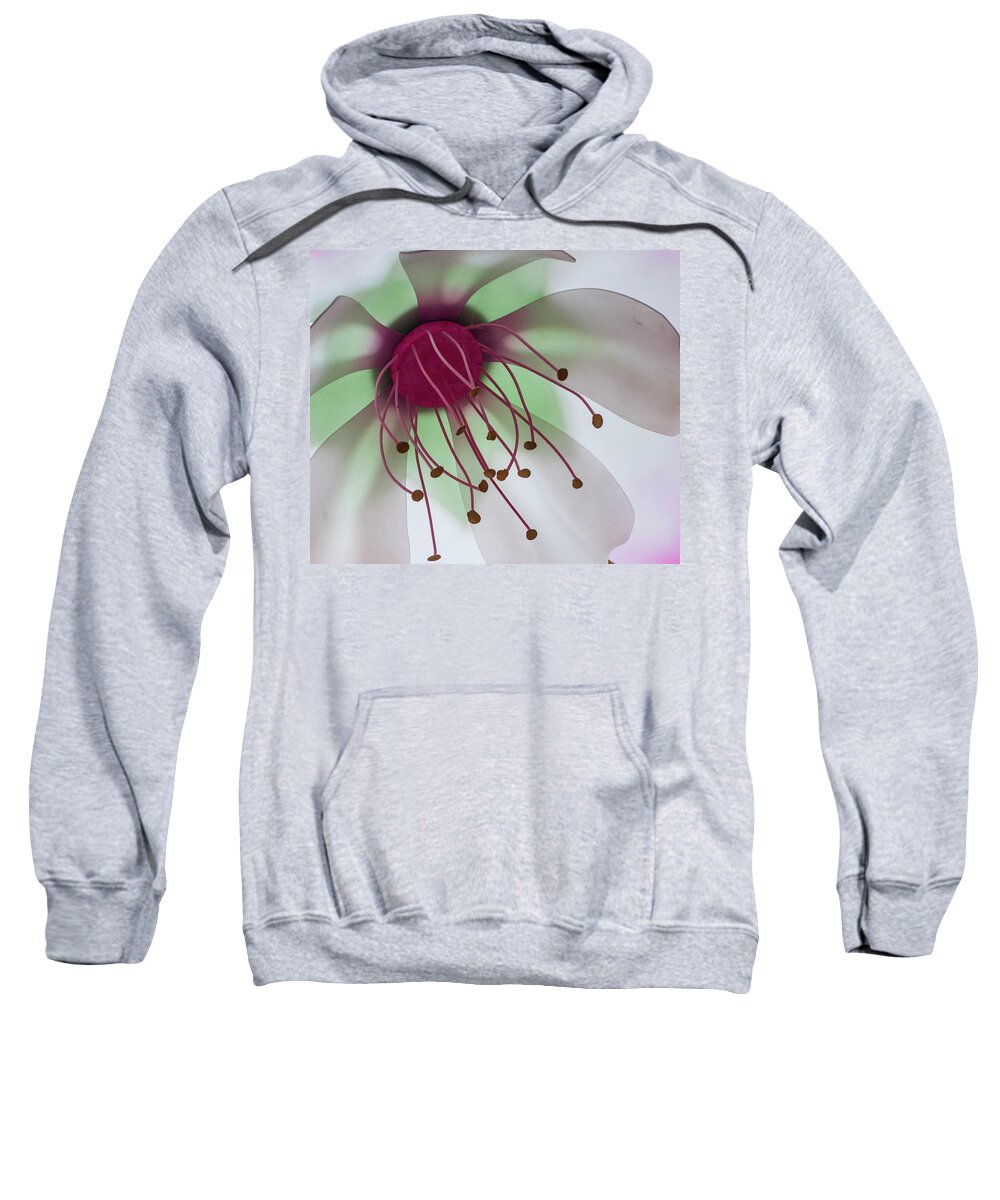 Flowers Sweatshirt featuring the photograph Flower Art by Stewart Helberg