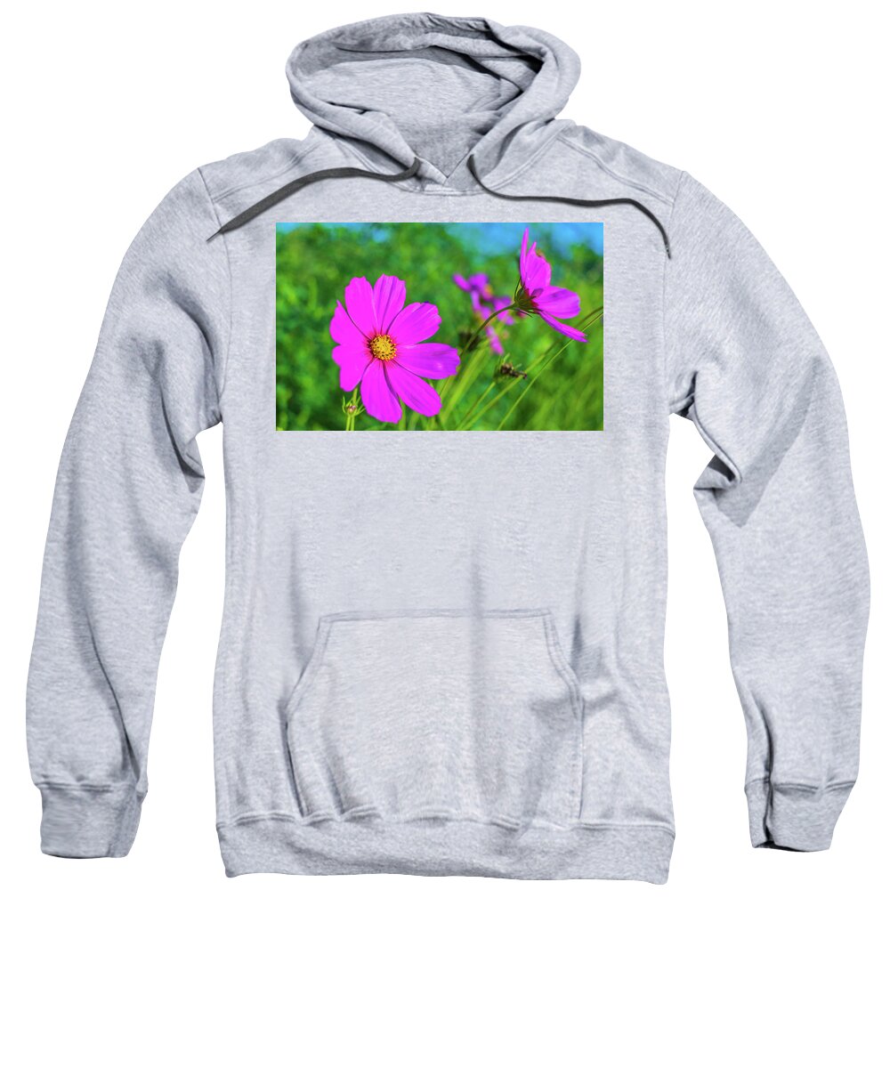 Parkersburg Sweatshirt featuring the photograph Flower Power by Jonny D