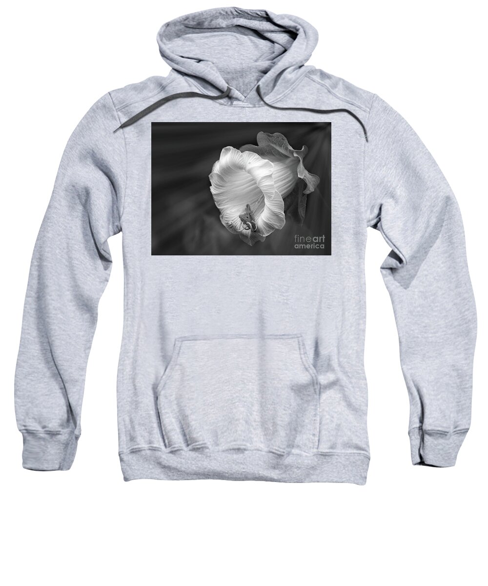 Flowers Sweatshirt featuring the photograph Flowers And Roses 117 by Ben Yassa