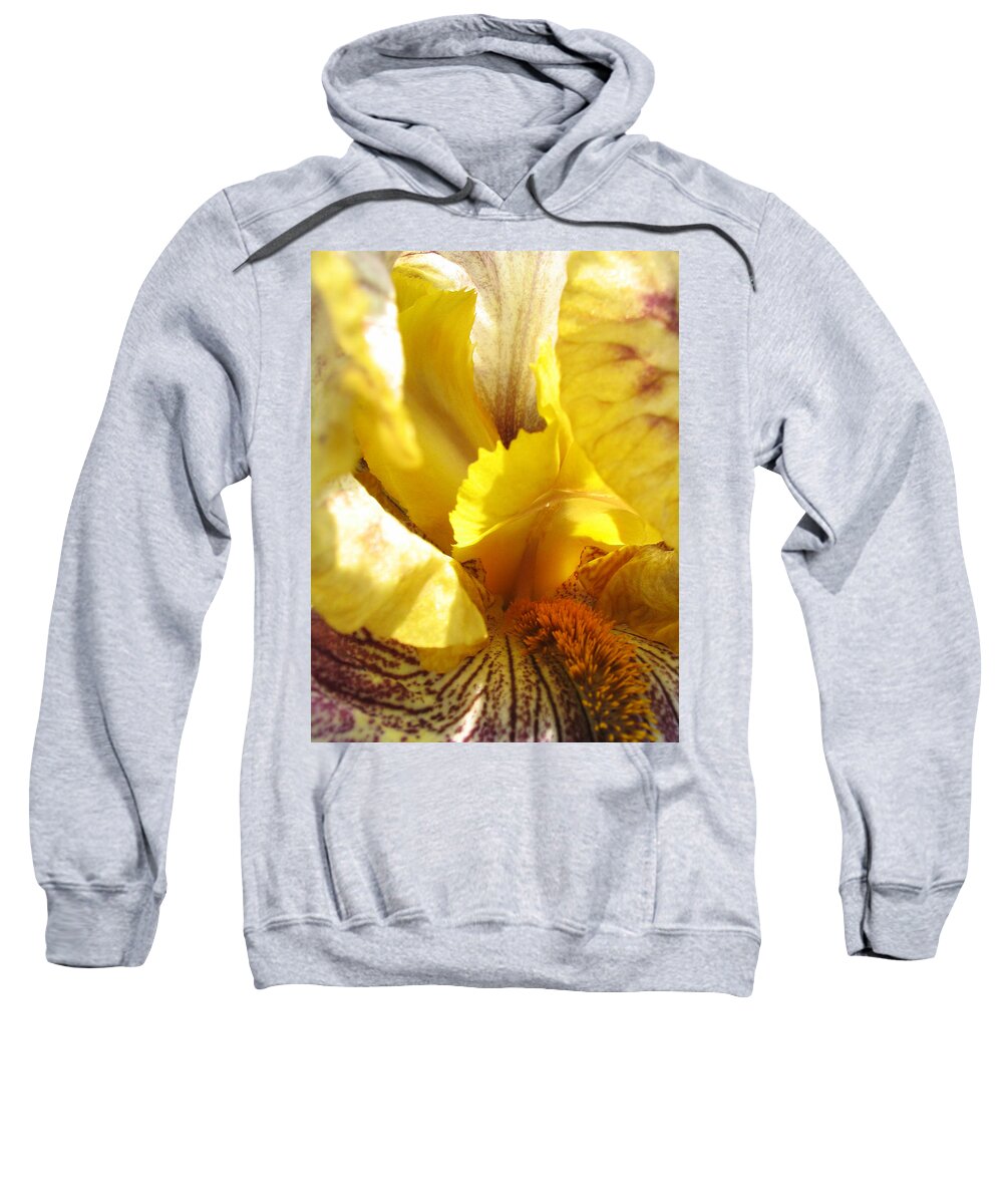 Flower Sweatshirt featuring the photograph Flowerscape Yellow Iris Three by Laura Davis