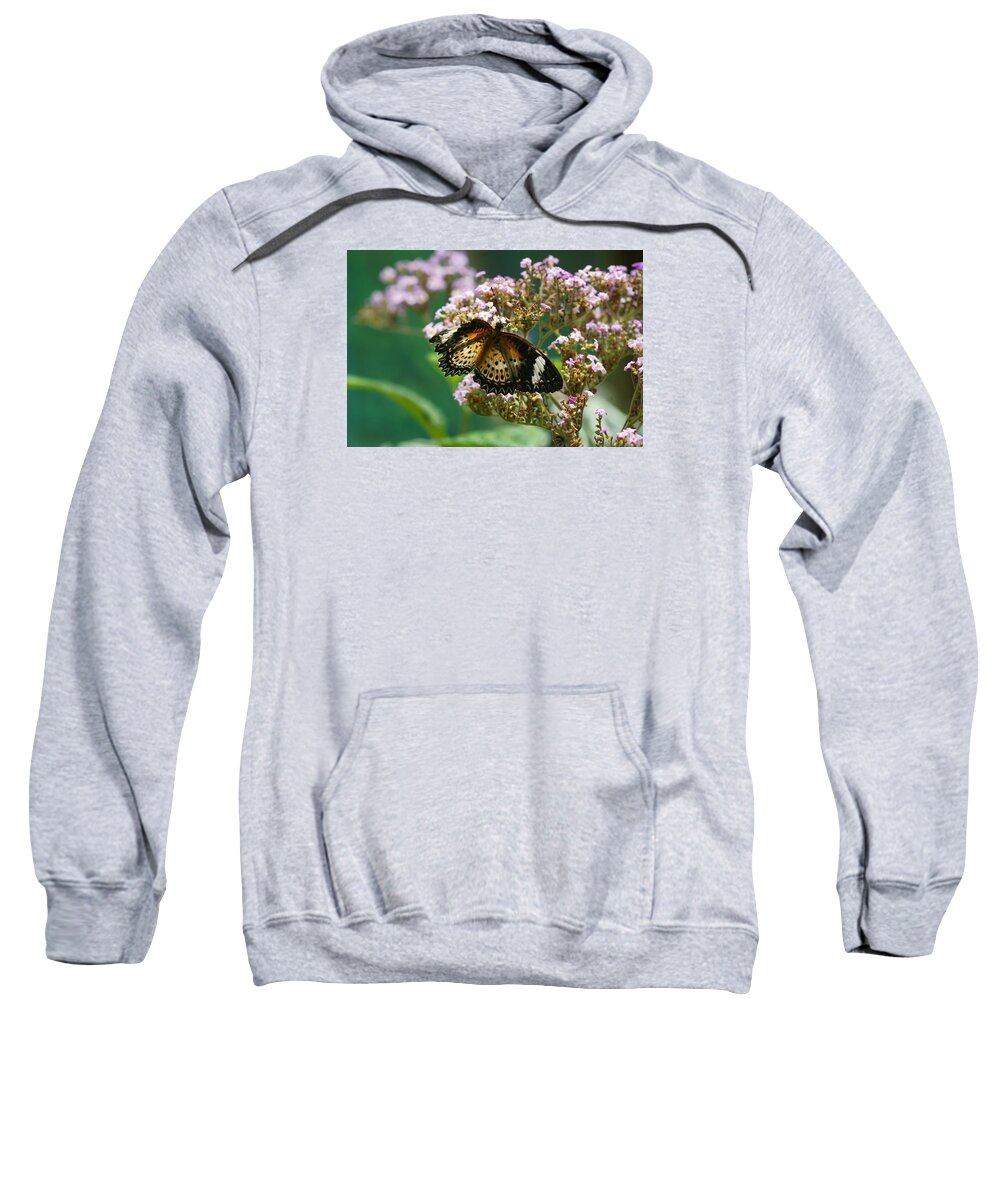 Butterfly Sweatshirt featuring the photograph Flying High 1 by Dimitry Papkov
