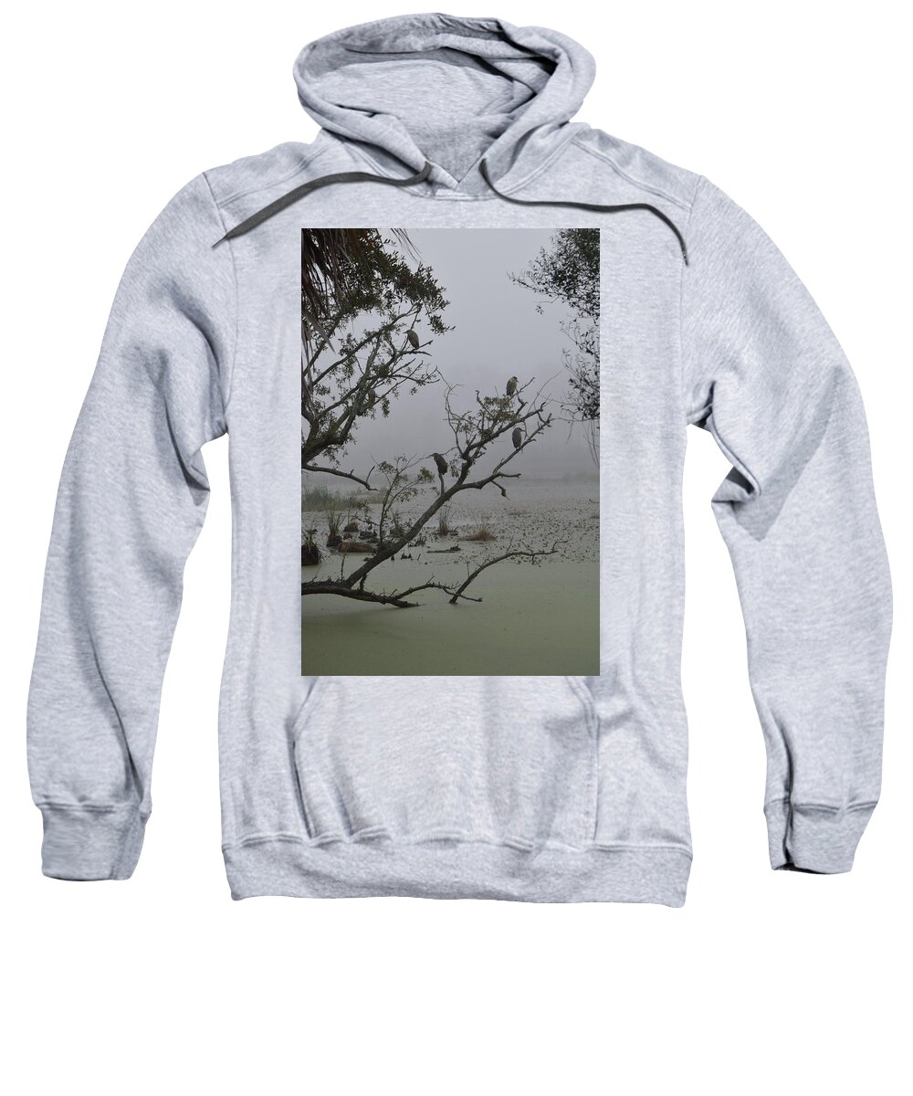 Black Crowned Night Heron Sweatshirt featuring the photograph Fog in the Morning by Jim Bennight