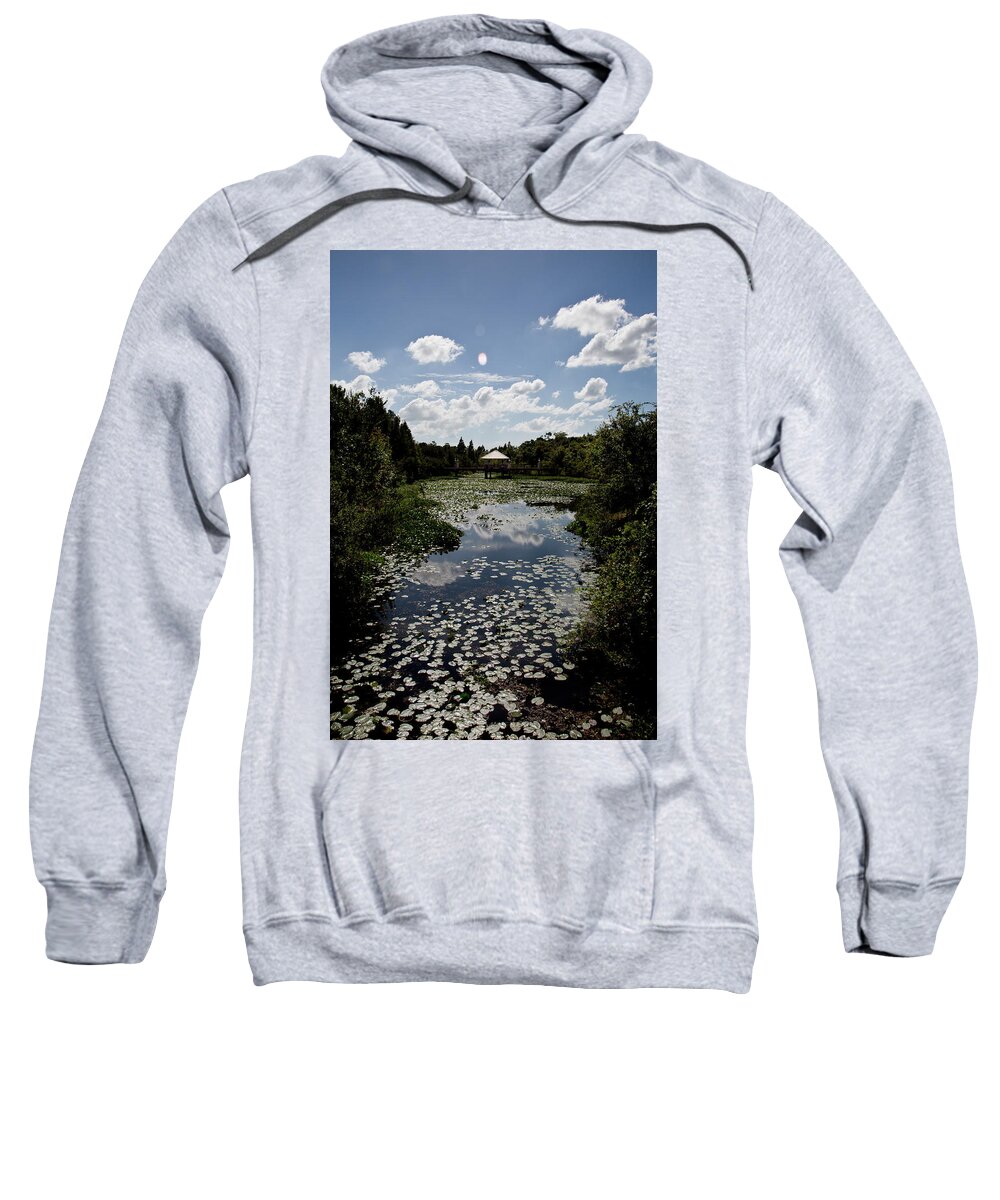 Landscape Sweatshirt featuring the photograph Follow the Lily Pad Trail by Nancy Dinsmore