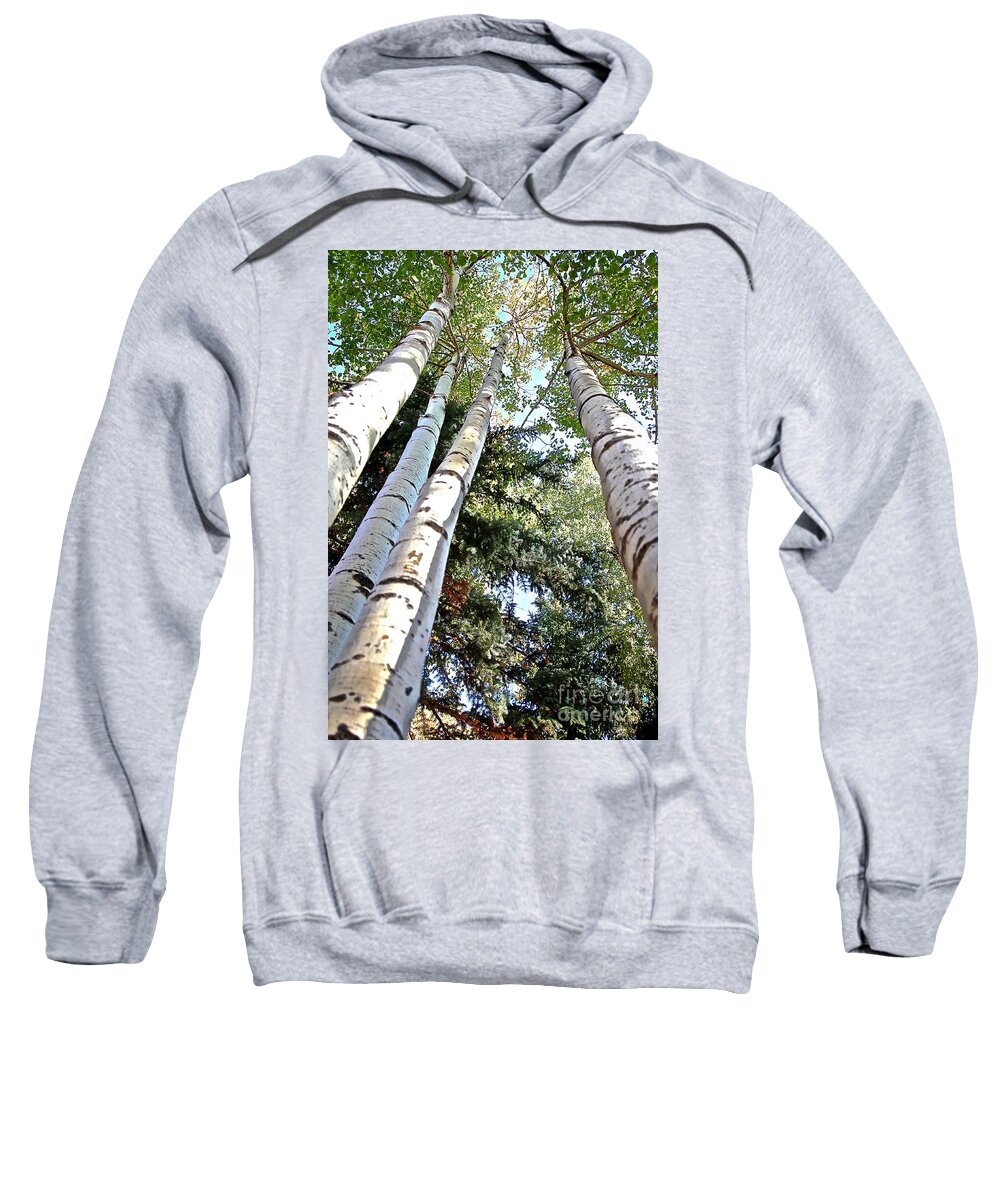 Aspen Sweatshirt featuring the photograph Four by Elisabeth Derichs