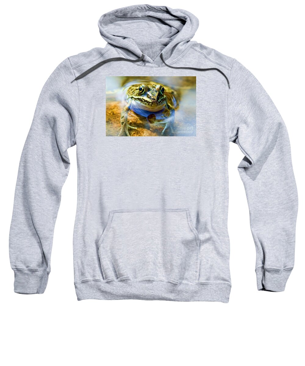 Frog Sweatshirt featuring the photograph Frog In Pond by Gary Beeler