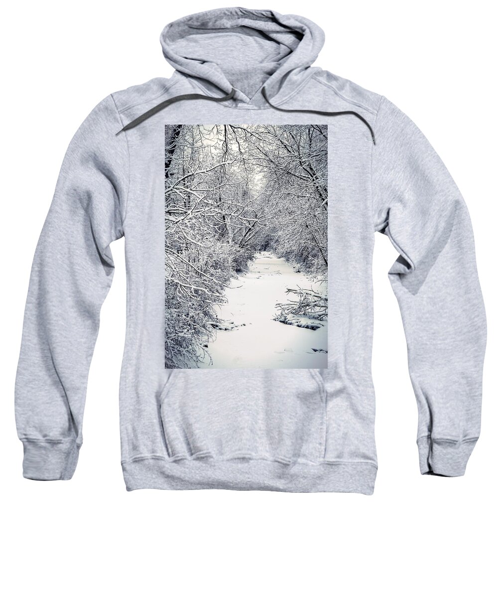  Sweatshirt featuring the photograph Frosted Feeder by Kendall McKernon
